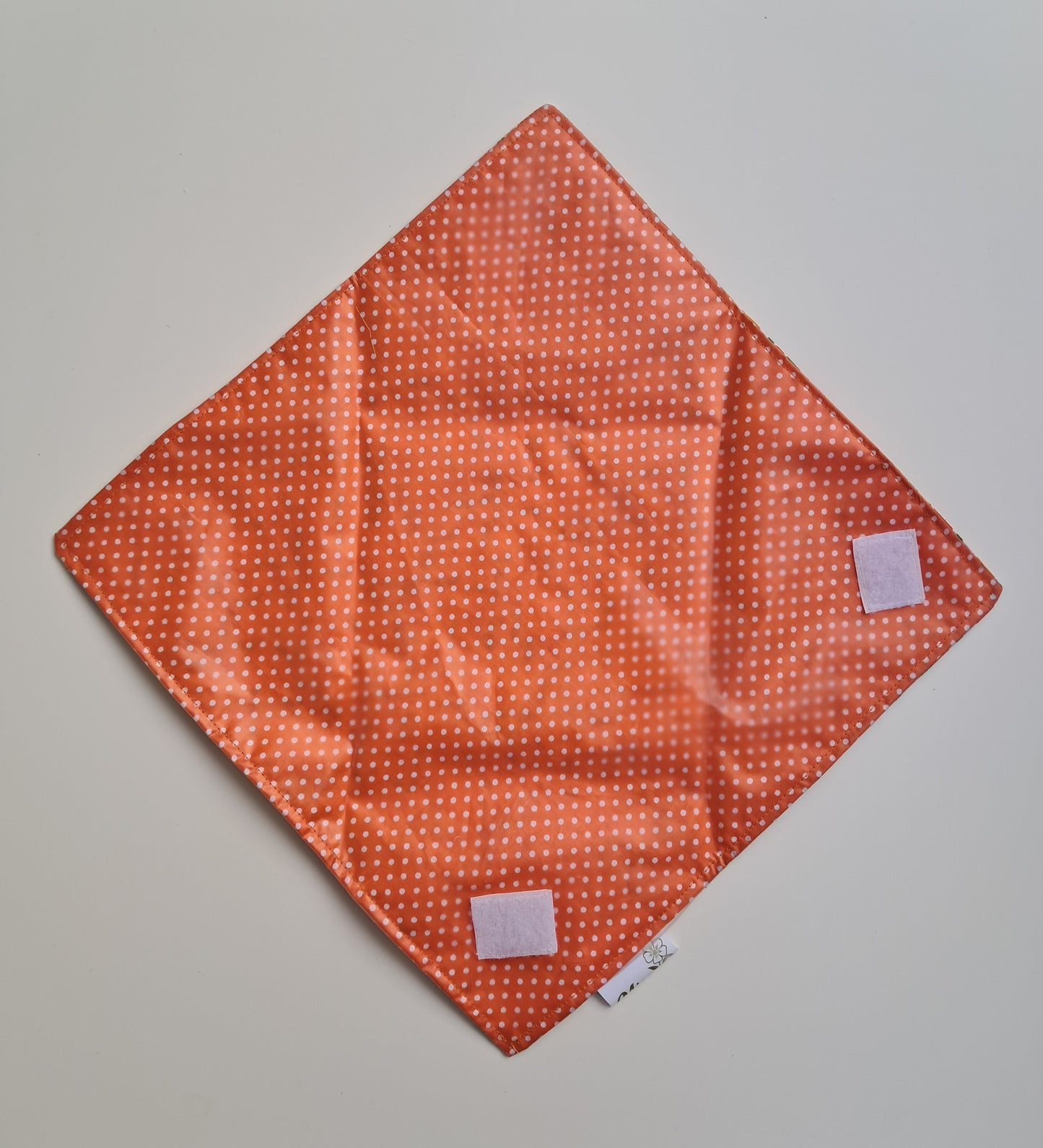 Porta snack frutal - naranjas